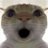 Matchacoo213's profile image