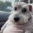 Chaveco_23's profile image
