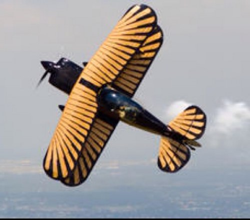 shollenc's profile picture. 