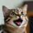 AwaCat2026's profile image