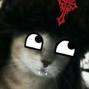 hi, this is my post account for my projects and funny things with my friends. to DM me use my main account and click my guns page!