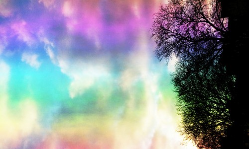 nyskywatcher's profile picture. 