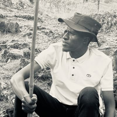 Professional accountant
