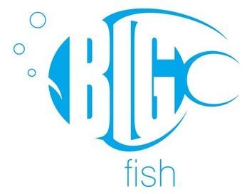 bigfishnetwork's profile picture. 