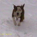 Judith Milam - @JudithMilam - Twitter