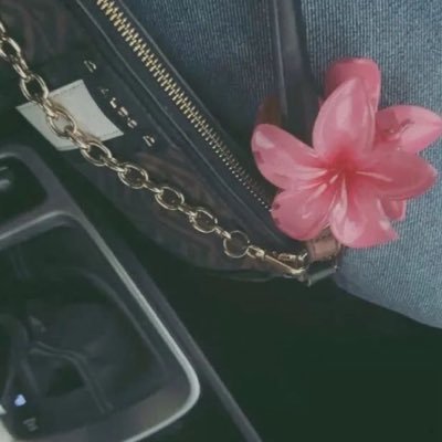 🌸🌸🌸🌸