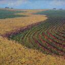 Marvin Hunt - @mlhunt18 - Twitter