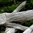 marc chen - @whosnows - Twitter