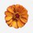 violaceaflower's profile image