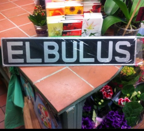 Elbulus's profile picture. Howdy firstly Bacon is amazing! That is all.