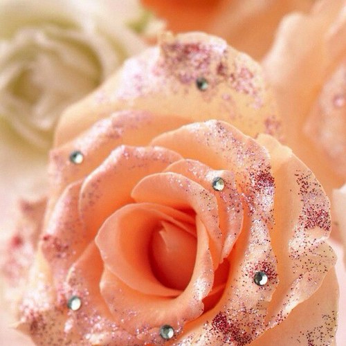 kelseamcpeters's profile picture. 