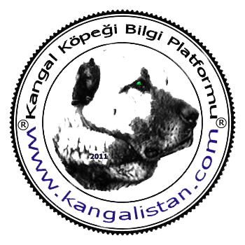 kangalistancom's profile picture. Kangal Köpeği Bilgi Platformu