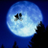 RowanMeadhyte's profile image