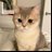 maisnotes's profile image
