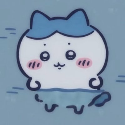하치와레/랏코/치이카와/시사 언급
성인/공부중