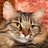 MizzBassie's profile image