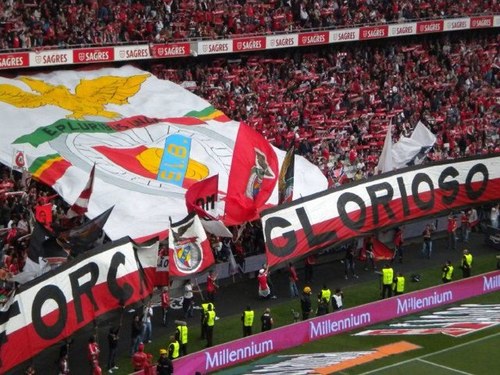 zepalhoca's profile picture. 