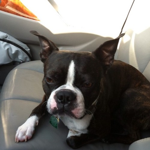 KEixman's profile picture. 