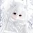 throgmarti15700's profile image