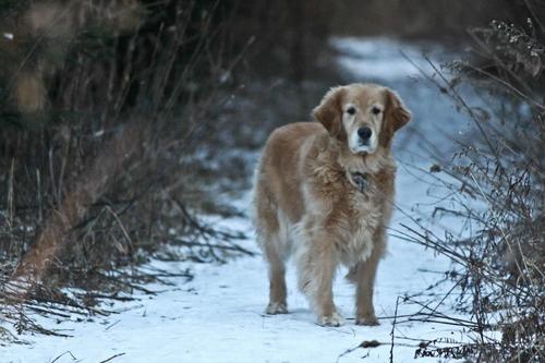 sue_beaton's profile picture. Optometrist, Mom!