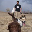 NScavezze's profile picture. 