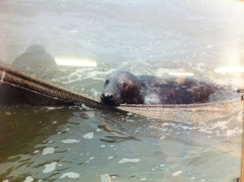 PostJurie's profile picture. zee liefhebber