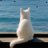 jiannd_'s profile image