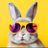 SrFestivalero's profile image