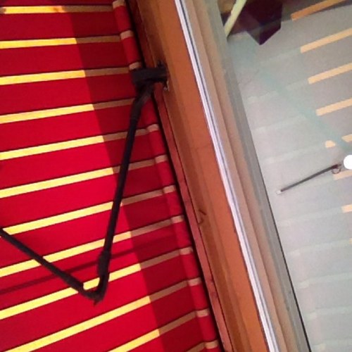 geniebw2's profile picture. 