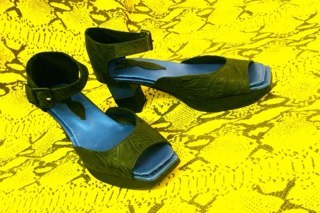 DonnaSquid's profile picture. 