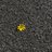 Natt_lun's profile image