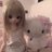 07011el's profile image
