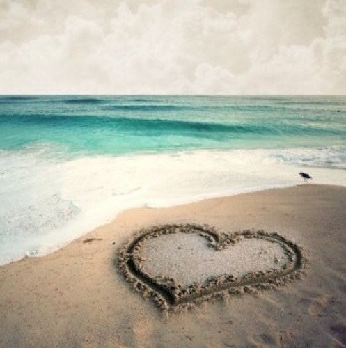 jillwelch5's profile picture. 