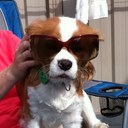 Ben catalano - @catalanoben - Twitter