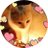 bbongee72's profile image