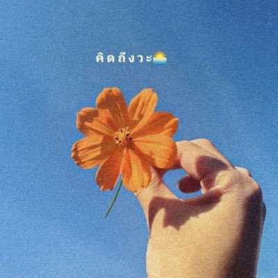 🌈⛅️
