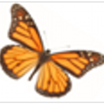 ChrysalisF's profile image