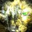 Polerathecat's profile image