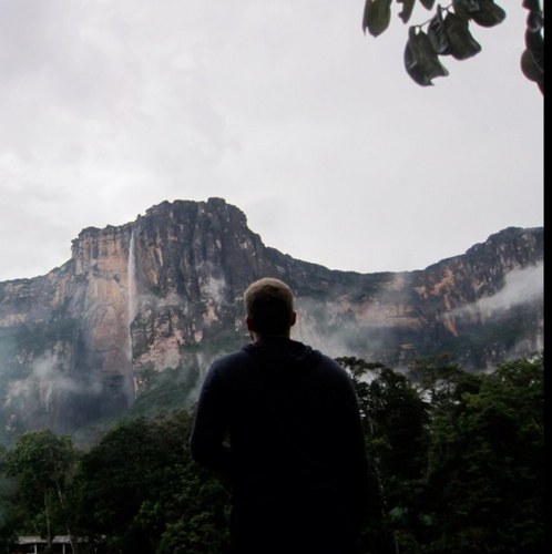 junomonedo's profile picture. 