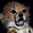 hualianbot's profile image