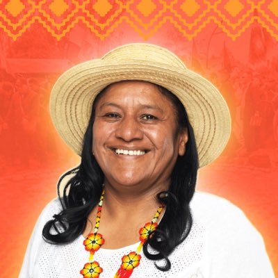 Lideresa del movimiento indígena - Defensora de Derechos Humanos - Congresista de la República - Pacto Histórico ✊🏽🇨🇴