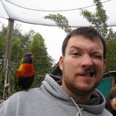 Putting the twit in Twitter