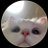 Maeveqt190595's profile image