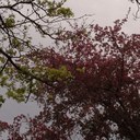 Tristin Johnson - @_TisMe_ - Twitter