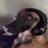 mansa_sol's profile image