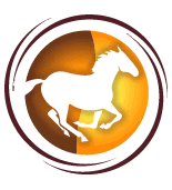 Equestrian Community Services