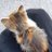 gha_207's profile image