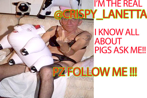 CRISPY_LANETTA's profile picture. MY VAGINA STINKS!!!