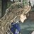 kaninette's profile image