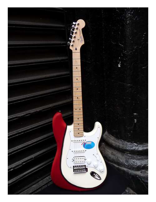 Chief Protectecion Officer (CPO). Own a Fender Stratocaster and Gibson Les Paul? Got Protection?